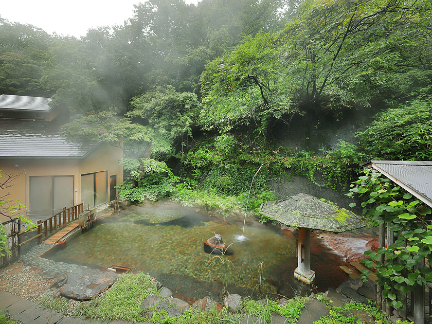 新緑の白樺の湯